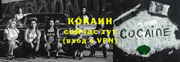 молекула духа Алексеевка