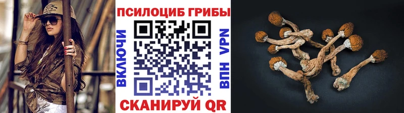 Галлюциногенные грибы MAGIC MUSHROOMS Бийск